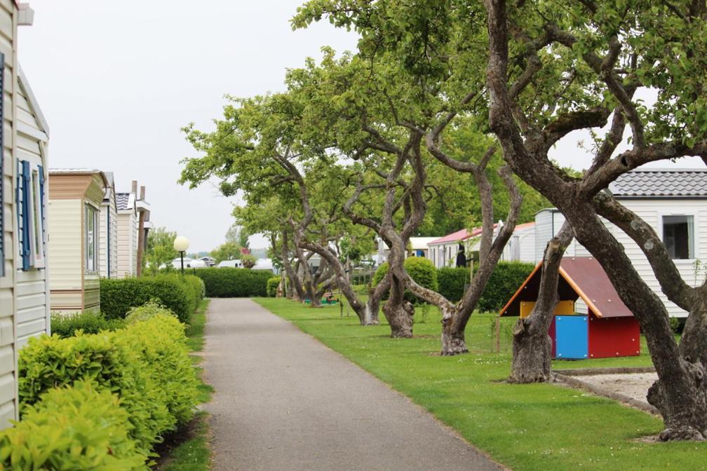 Siblu Camping In De Bongerd Oostkapelle Kültér fotó